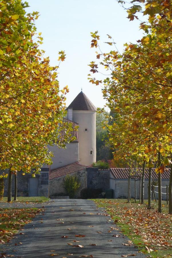 Chateau D'Annezay Dış mekan fotoğraf
