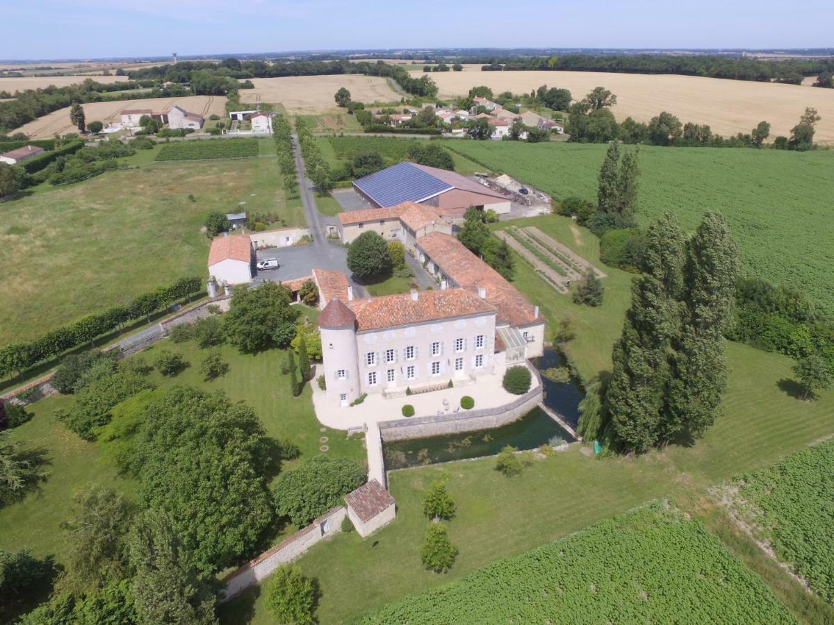 Chateau D'Annezay Dış mekan fotoğraf